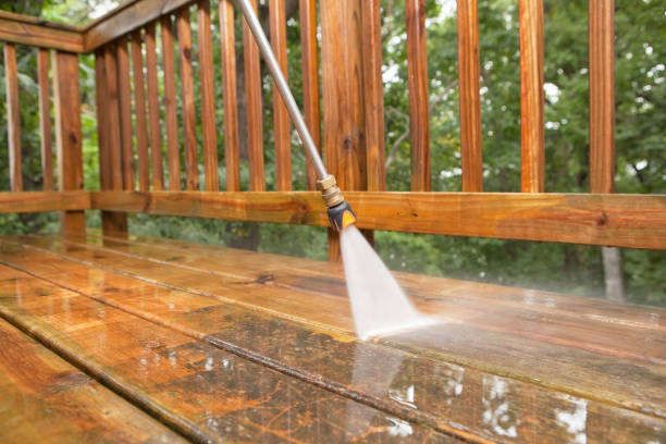 Professional Pressure Washing Services in Feather Sound, FL